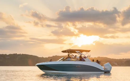SEA RAY SDX 250 OB