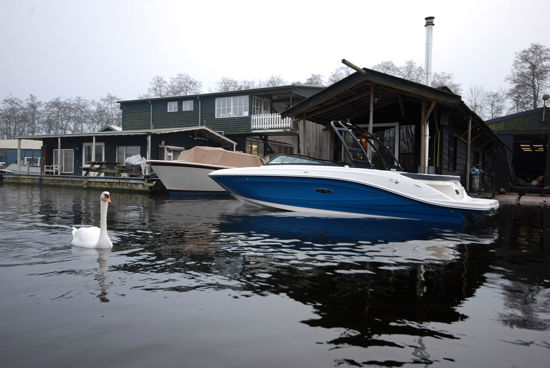Sea Ray SPX 230 in a marina with a swan