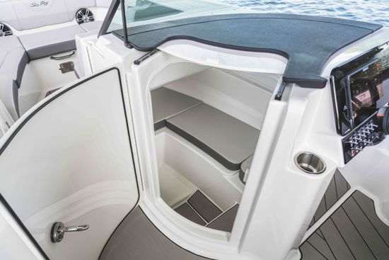 Sea Ray SDX 230 SURF - cockpit compartment