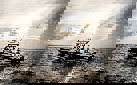 Fisherman 352
