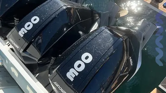 Fiart-seawalker-39-3-X-Mercury-300