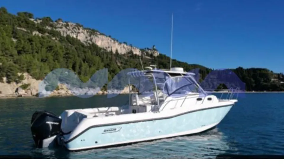 BOSTON WHALER CONQUEST 305