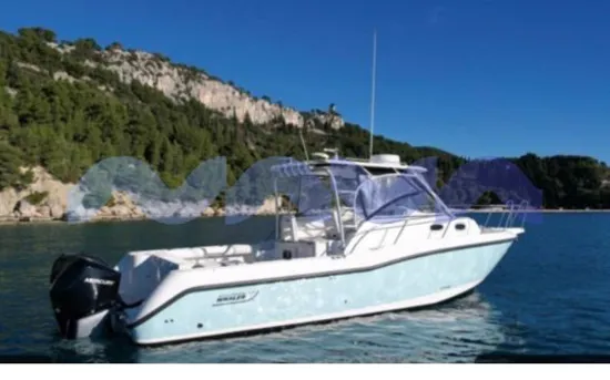 BOSTON WHALER CONQUEST 305 