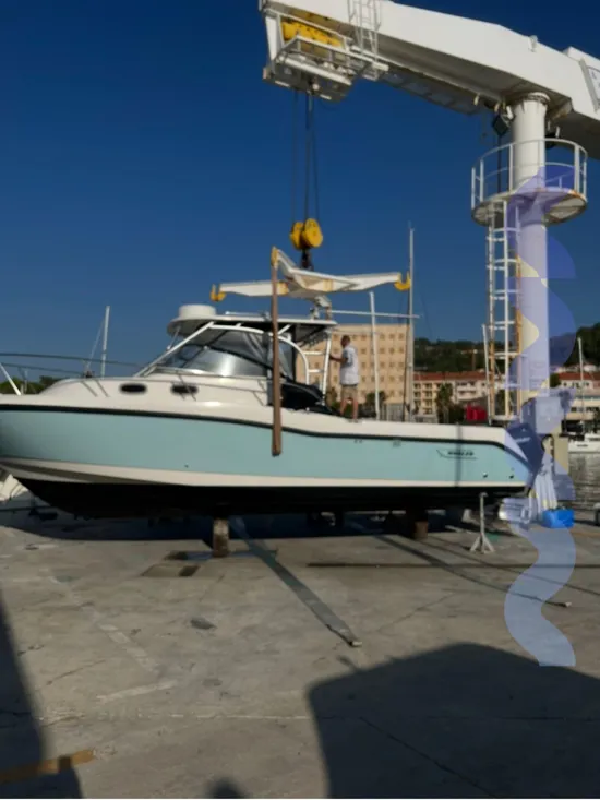 BOSTON WHALER CONQUEST 305