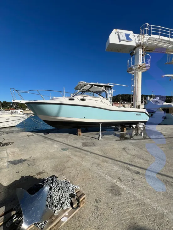 BOSTON WHALER CONQUEST 305
