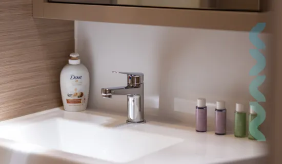 Lagoon 42 – Lady-Aurora-bathroom -details