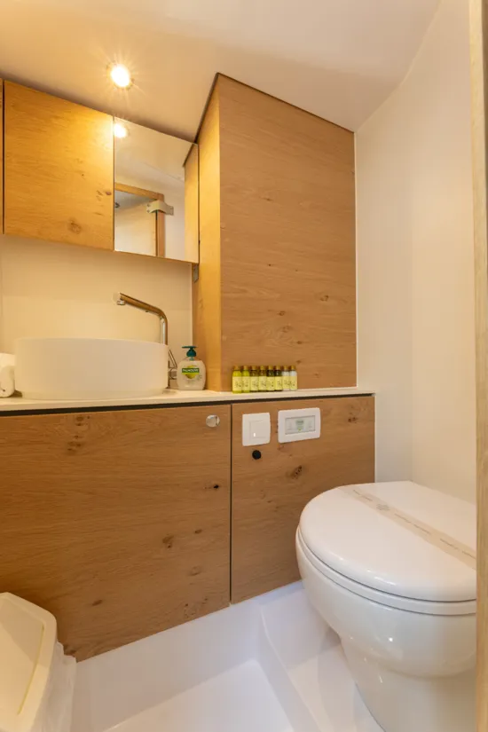 Elan 45 Impression bathroom with electrical toilet