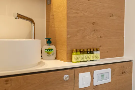 Elan 45 Impression bathroom sink and details